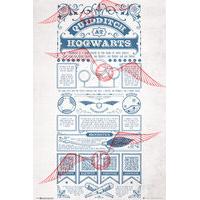 harry potter quidditch at hogwarts maxi poster