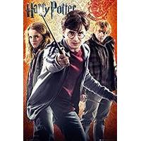 Harry Potter Deathly Hallows Movie Film Poster