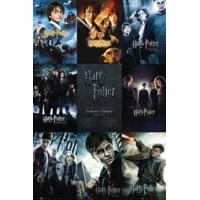 Harry Potter Collection Maxi Poster