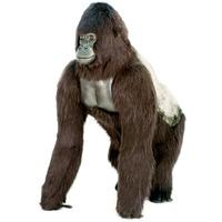 Hansa Toys Lifesize Silver Back Gorilla 170cm