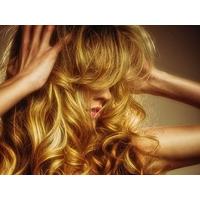 Haircut, Highlights and Blow Dry