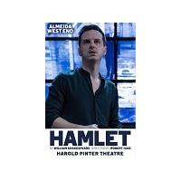 Hamlet - Theatre Break