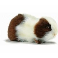 Hansa Toy Guinea Pig 20 cm