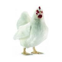 Hansa Toy White Hen 40 cm