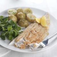 Haddock Fillets