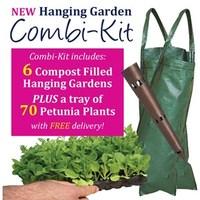 hanging gardens compost filled x6 plus a tray of 70 petunia grand prix