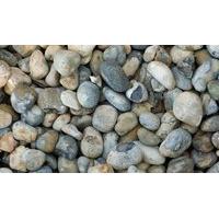 hallstone oyster pebbles