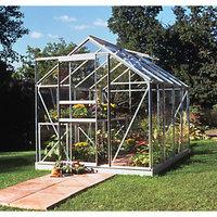 Halls Popular Greenhouse with Toughened Glass Silver 6 x 8