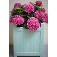 Hardwood Acacia Large Planter Turquoise x2