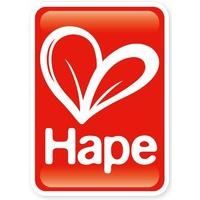 Hape HAP-E0304 Early Melodies Tambourine