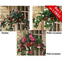 Hanging Baskets (2 + 1 FREE)