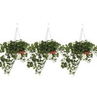 Hanging Baskets (2 + 1 FREE)
