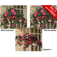 Hanging Baskets (2 + 1 FREE)