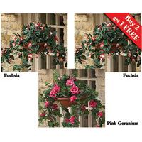 Hanging Baskets (2 + 1 FREE)