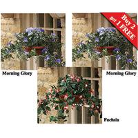 Hanging Baskets (2 + 1 FREE)