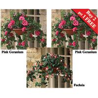 Hanging Baskets (2 + 1 FREE)