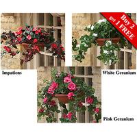 Hanging Baskets (2 + 1 FREE)