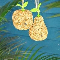 Hanging Pear Bird Seed by Fallen Fruits