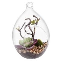 Hanging Air Terrarium With Succulent Plant