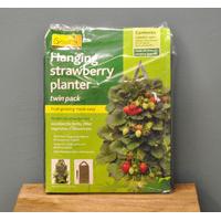 Hanging Strawberry Planters (Set of 2) by Gardman