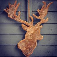 Hanging Birch Reindeer Plaque (Large)