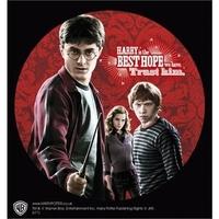 Harry Potter Trio Vinyl Sticker