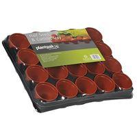 Half Seed & Cutting Tray 20 Pot (Pack of 36)