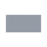 Hawk Grey Gloss Oblong (PRG7) Tiles - 200x100x6.5mm