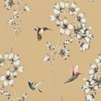 Harlequin Wallpapers Amazilia, 1...