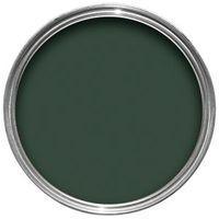 Hammerite Wild Thyme Gloss Metal Paint 250ml