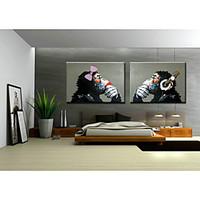 hand painted art wall monkey sitting room adornment oil painting on ca ...