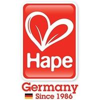 Hape HAP-E6307 Home Education Story Lines Game