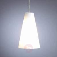 Hanging light by Schnepel, opalescent
