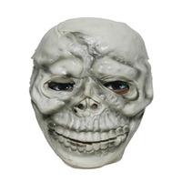 Halloween Skeleton Face Mask