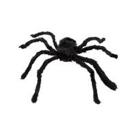 Hairy Spider Black