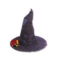 Harry Potter Sorting Witch Hat