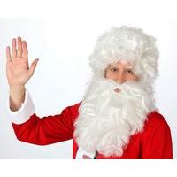 hair beard wig santa white