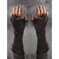 Hand Gloves Chimp