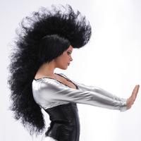 hair punk wig black in box