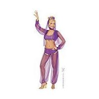harem beauty purple costume medium for arab fancy dress