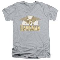 Hawkman - Fly By V-Neck