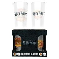 harry potter twin glass set