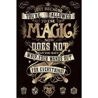 Harry Potter Poster Magic 282