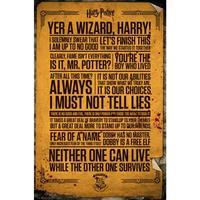 Harry Potter Poster Quotes 263