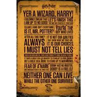 harry potter poster quotes 263