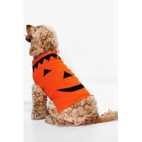 halloween pumpkin dog jumper orange