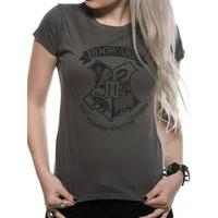 Harry Potter - Distressed Hogwarts Women\'s Medium T-Shirt - Grey