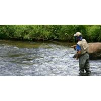 Half Day Fly Fishing with Tuition - Co. Galway