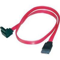 Hard drives Cable [1x SATA socket 7-pin - 1x SATA socket 7-pin] 0.60 m Red Belkin