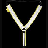 Harry Hall Hi Viz Martingale